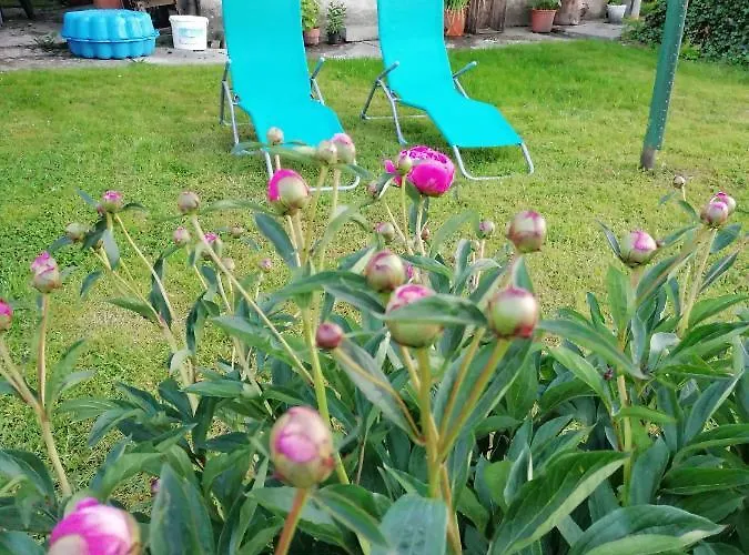 Anna Im Mostviertel 아파트 Seitenstetten